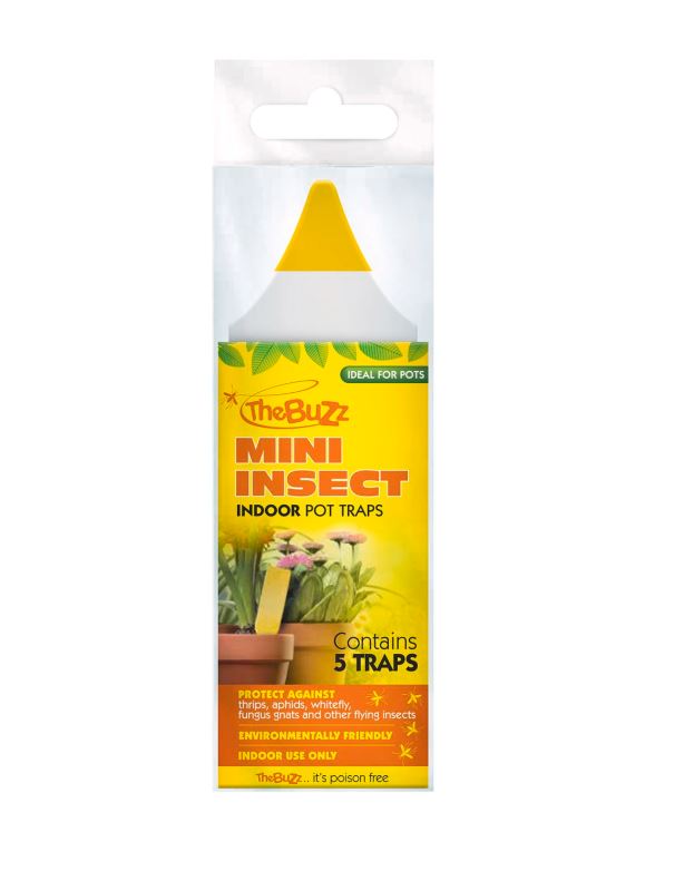 The Buzz Mini Insect Indoor Pot Traps 5 Pack – All Green