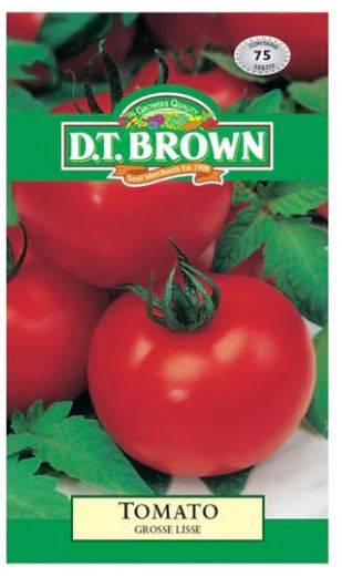 D.T. BROWN TOMATO GROSSE LISSE SEEDS
