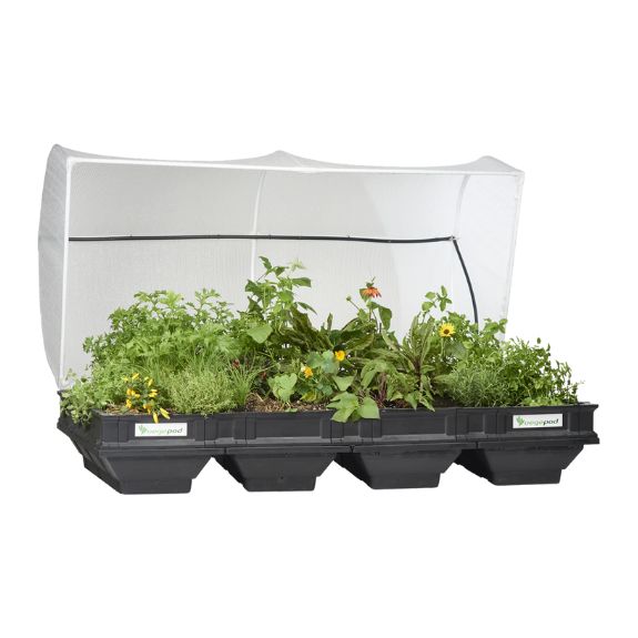Vegepod Large with VegeCover 2m x 1m